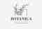 logo google ads visualizzato su dispositivo mobile